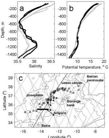 Fig. 1. Vertical profiles of (a) salinity and (b) potential temperature obtained near Seine seamount in July 2004