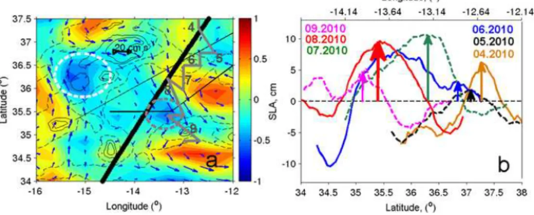 Fig. 4. (a) Relative vorticity (10 −5 s −1 ) and geostrophic currents (cm s −1 ) on 24 August 2010 computed from AVISO altimetry