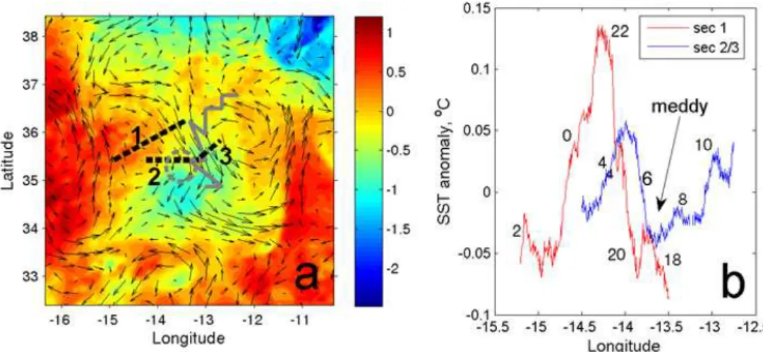 Fig. 7. (a) Anomalies of SST ( ◦ C) on 24 August 2010. The segments of the cruise tracks 1 and 2–3 are shown