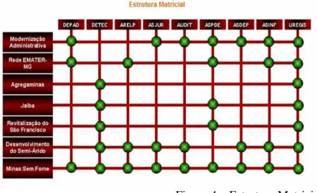 Figura 4 – Estrutura Matricial  Fonte: EMATER-MG, 2007. 