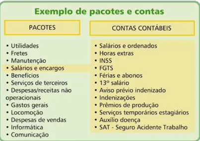 Figura 7 – Exemplo de Pacote e Contas  Fonte: EMATER-MG, 2007. 