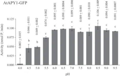Fig 5. Influence of pH on AtAPY1-GFP activity. Enzyme activities were determined in the presence of 3 mM UDP using the discontinuous apyrase activity assay