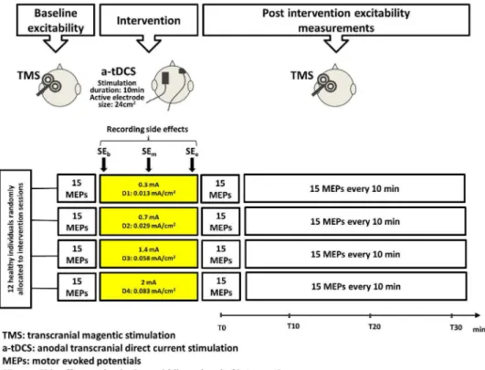 Figure 1. Experimental design. Comparison of the effects of different CDs (D1–D4) on corticospinal excitability.