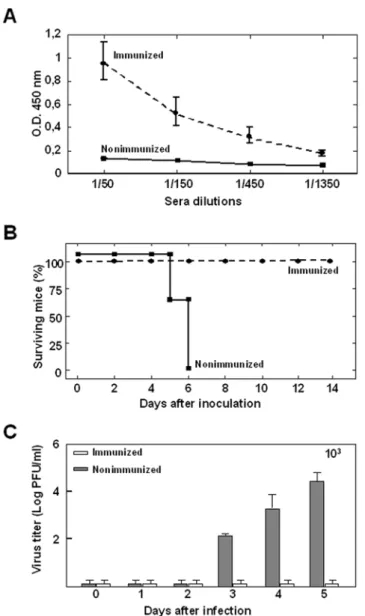 Table 1. Detection of BTV-4 in blood of immunized and nonimmunized IFNAR (2/2) mice after challenge with BTV-4 by RT-qPCR_S5.