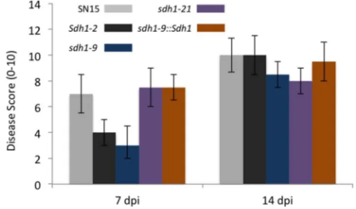 Figure 5. Pathogenicity scores for the wheat leaf infection assays. N = 5 and standard error bars are shown.