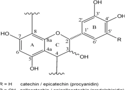 Figure 1. Basic proanthocyanidin units in Alaska Cedar inner bark 