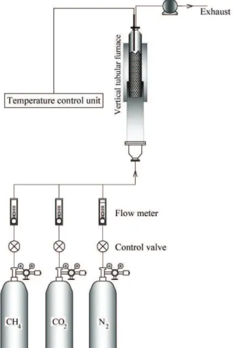 Figure 1. Schematic representation of the experimental set up. 