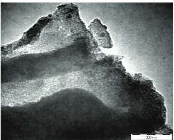 Figure 7. TEM image of the CMS sample prepared under a CH 4