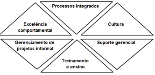 FIGURA 1 - Os seis componentes da excelência em gerenciamento de projetos                    Fonte: KERZNER, 2005 