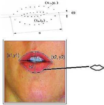 Fig. 8.   Profile points &amp; grey-level. 