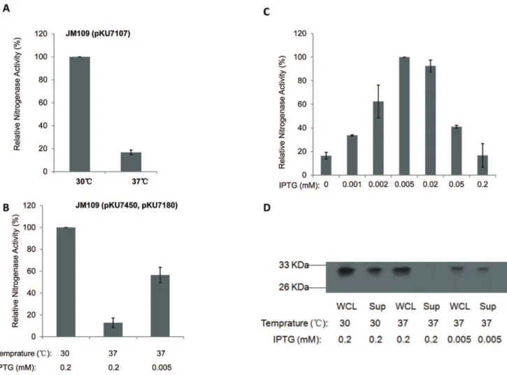 Figure S1 Influence of nifL and nifA on nitrogenase activity expressed by the T7 dependent nif system.