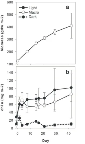 Fig. 1. Macroalgal biomass (a) and benthic chlorophyll a concentrations for surface (0–1 cm) sediments (b)