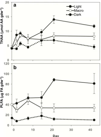 Fig. 3. THAA (a) and total PLFA (b) concentrations in surface (0–1 cm) sediments. Values are mean ± SE (n = 4).