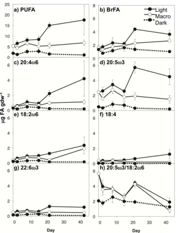 Fig. 5. Concentrations of select algal and bacterial PLFA in surface (0–1 cm) sediments