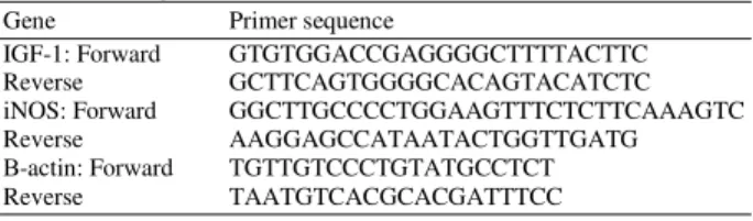 Table 1: Sequence of the primers used to amplify IGF-1, iNOS and β-  actin genes 