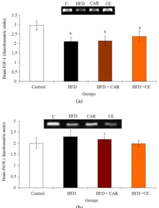 Fig. 3:  Effects  of  high  fructose  diet,  L-carnitine  and  cinnamon extract on brain IGF-1 (a) and iNOS  (b) expression