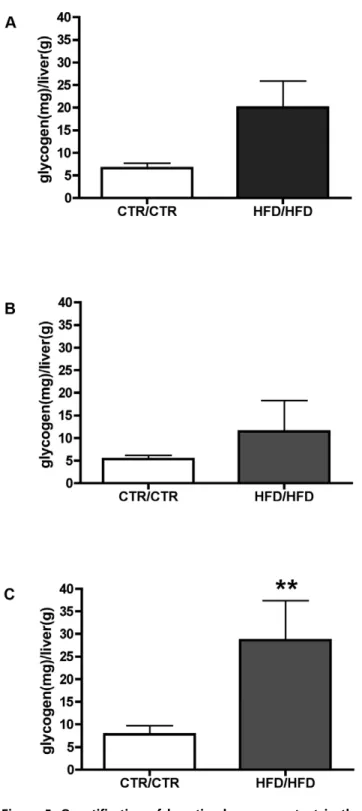 Figure 5. Quantification of hepatic glycogen content in the one-year old juvenile macaque