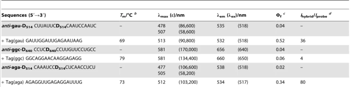 Figure 2. Imaging of expressed mRNA in living HeLa cells. Mixtures of ECHO probe (10 mM) and fluorescent protein-encoding plasmid (50 ng/