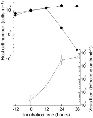 Figure 7. Growth experiments. Changes in the cell density of Chaetoceros sp. strain SS628-11 with inoculation (closed circles) or without virus inoculation (closed argyle squares) and in viral titer (open circles)