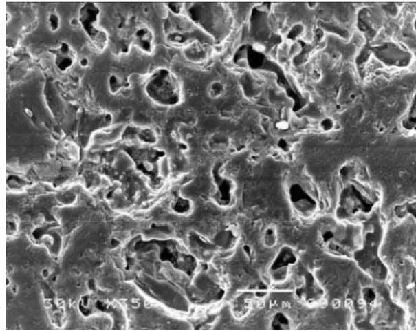 Fig. 1. SEM of S3G1 samples. 