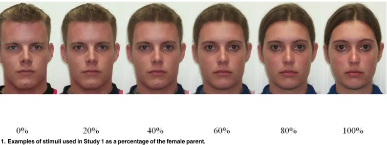 Fig 1. Examples of stimuli used in Study 1 as a percentage of the female parent.