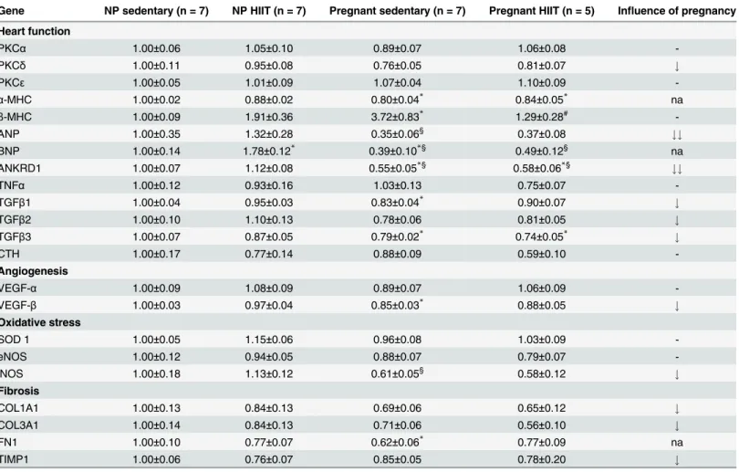 Table 2. Maternal myocardial expression of genes related to cardiac remodeling in pregnant and non-pregnant HIIT compared to pregnant and non-pregnant sedentary rats and influence of pregnancy on gene expression.