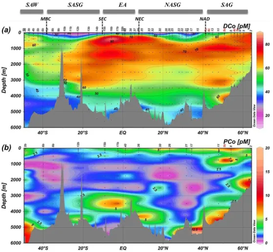 Fig. 4. Interpolated vertical sections of (a) dissolved cobalt (DCo, pM) and (b) apparent particulate cobalt (P Co, pM) based on 675 analyses for DCo and 203 analyses for P Co along the GEOTRACES-A02 section in the western Atlantic