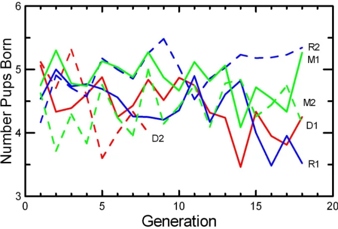 Table  7  provides  the  sample  size  (number  of  pairs)  and measures  of  reproductive  performance  for  the  first  and  last generations of replicates and the inter-crosses