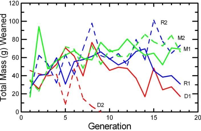 Figure 10.  Overall reproductive success.  The mean total mass (g) of progeny weaned per pair in the 0, 1, or 2 litters produced is given for the two replicates of RAN (blue), MK (green), and DOC (red) experimental populations.