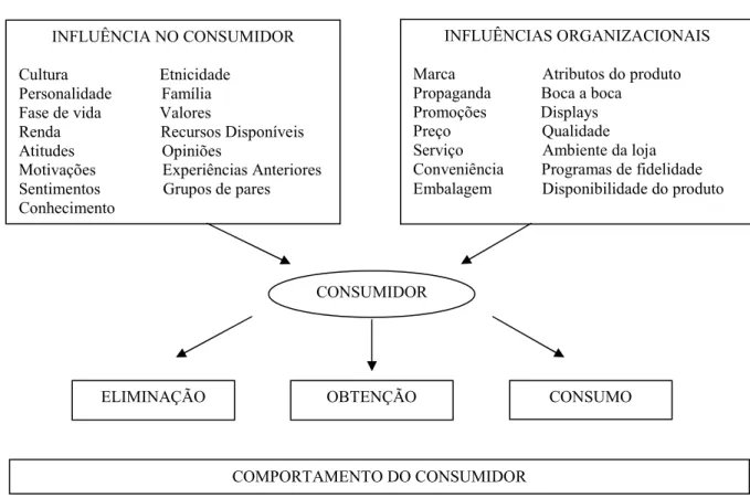 Figura 1 - Comportamento do Consumidor