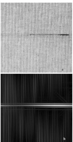 Fig. 7 a) Fabric image and b) Combined image with  L2 norm 