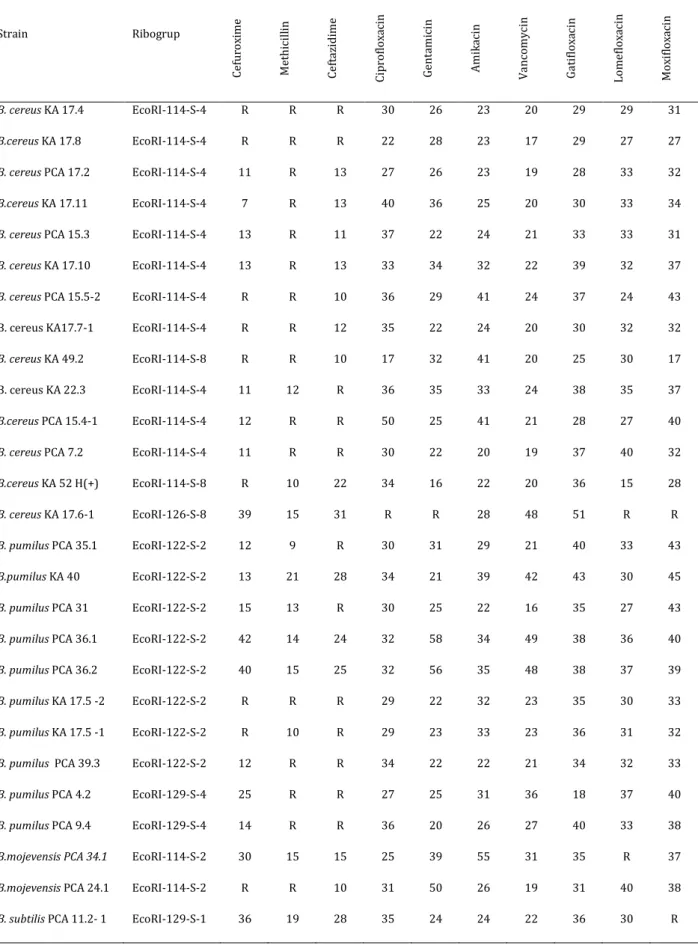 Table 2. Susceptibility prevalence  for Bacillus spp  isolates (mm) 
