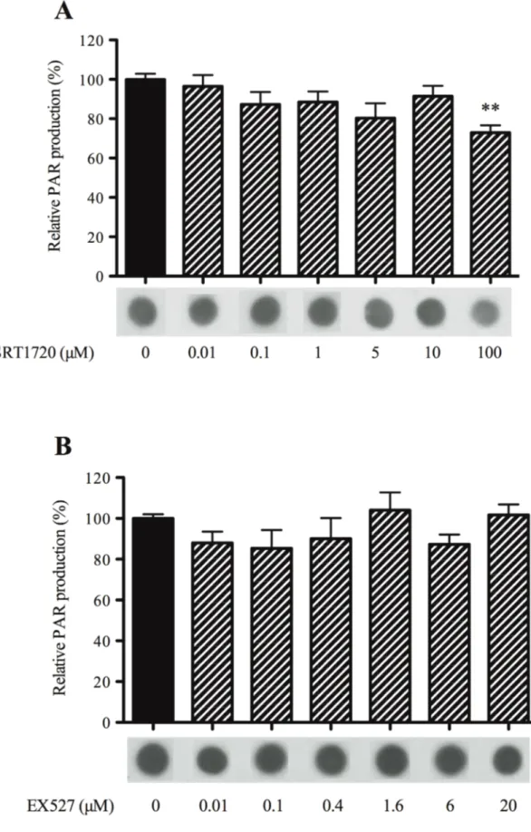 Figure 5. Dose-effect of SRT1720 and EX527 on PARP activity in vitro. Dose-effect of (A) SRT1720, a SIRT1 activator and (B) EX527, a SIRT1 inhibitor, on relative PAR production