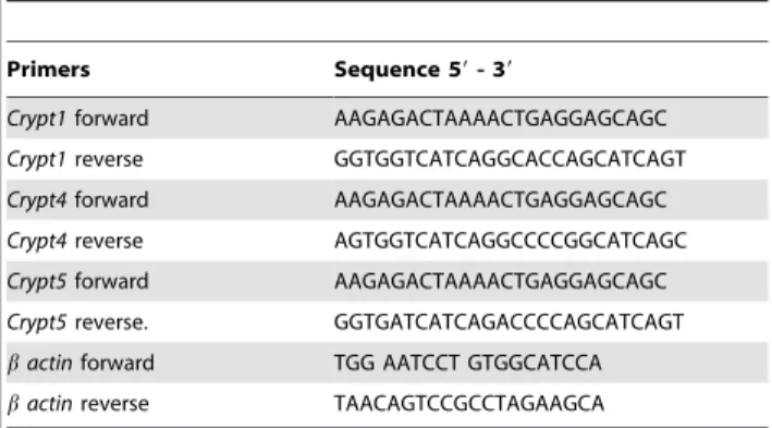 Table 5. List of primers used for semi-quantitative RT-PCR of cryptdine levels.