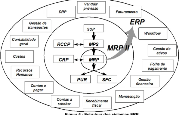 Figura 5 - Estrutura dos sistemas ERP 