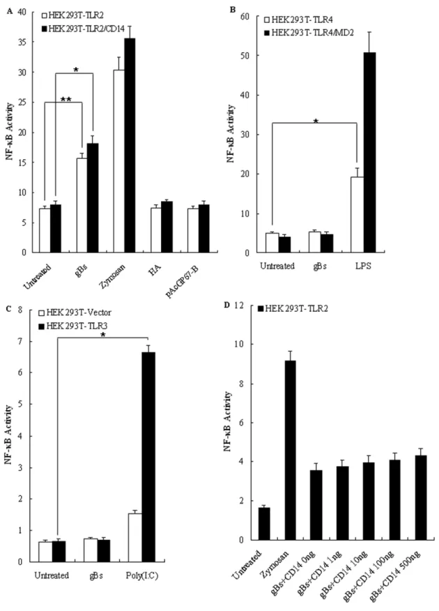 Figure 3. HSV-1-encoded gB stimulates NF-kB activity through TLR2 that does not require CD14