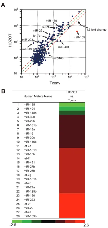 Figure 1. Downregulated expression of miR-155 in HOZOT revealed by miRNA microarray analysis