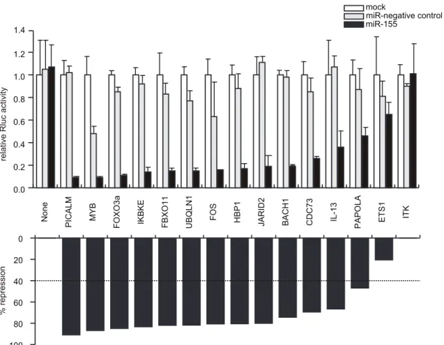 Figure 3. Repression of specific target genes by miR-155 through direct 39- UTR interactions