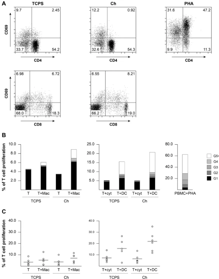 Fig. 7.  T cell activation and proliferation in response to Ch films or to antigen-presenting cells differentiated on  distinct substrates