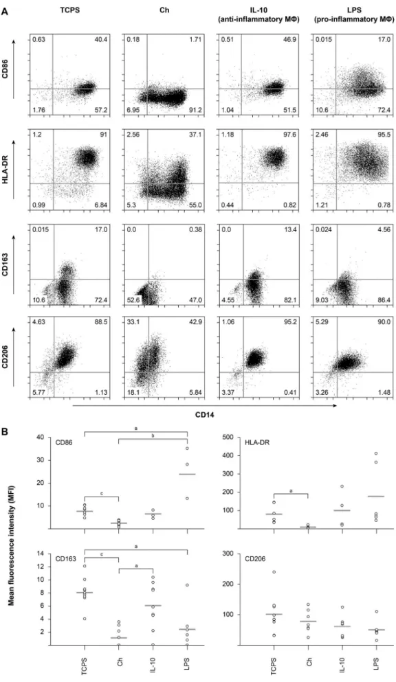 Fig. 2.  Expression of cell surface markers of macrophages differentiated on Ch films