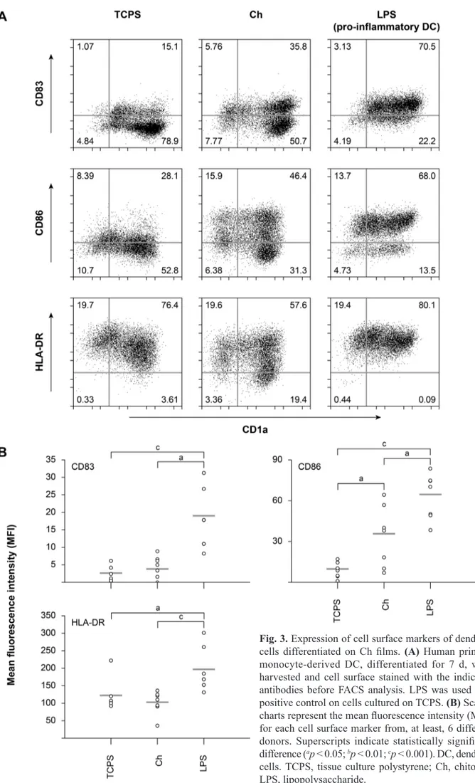 Fig. 3. Expression of cell surface markers of dendritic  cells differentiated on Ch films