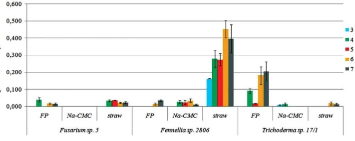 Fig. 4. Dynamics of xylanase activity of Fennellia sp. 2806, Trichoderma sp. 17/1 and Fusarium sp