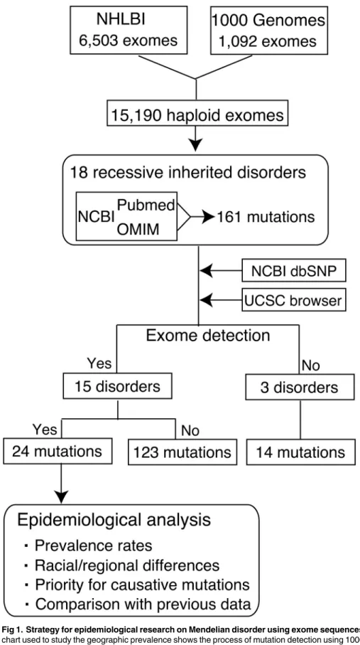 Fig 1. Strategy for epidemiological research on Mendelian disorder using exome sequences