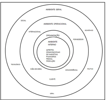 Figura 2 - A organização, os níveis de seu ambiente e os componentes desses níveis 