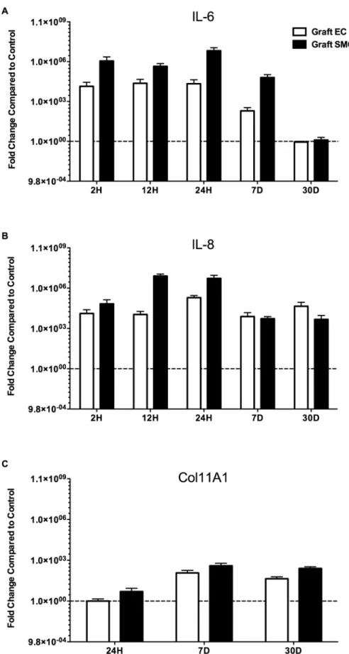 Figure 7. Confirmation of change in gene expression of A) IL-6, B) IL-8 and C) Col11A1