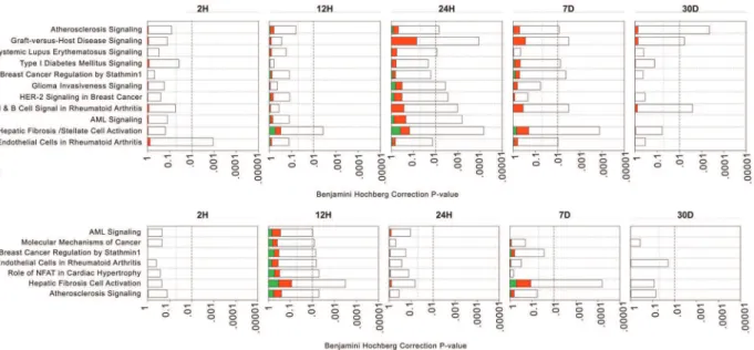 Figure 5. Backpropagation based interactive network analysis of the genes. A) EC, B) SMC: A hierarchical network of interactive genes was developed consisting of differentially expressed genes from 30 D to 2 H
