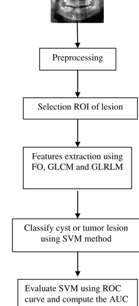 Fig. 2. Stage of  the cyst and tumor lesion classification method 