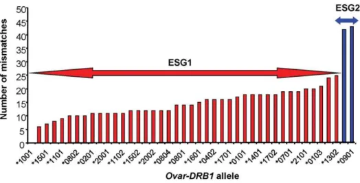 Figure 1. Diversity of Ovar-DRB1 alleles associated with ESG1 and ESG2. Nucleotide mismatch analysis of 42 Ovar-DRB1 alleles held in the sheep immunopolymorphism (IPD) data base www.ebi.ac.uk/ipd/mhc/ovar/index.html showing the degree of diversity between 