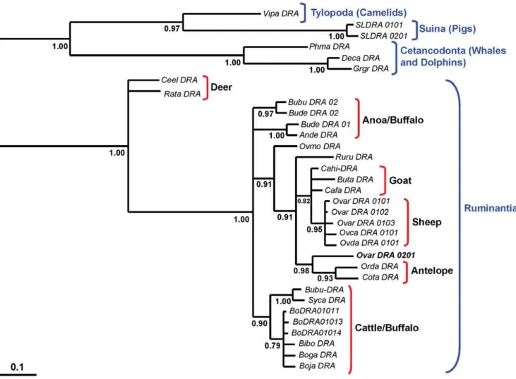 Table 4. Amino acid sites under positive selection.
