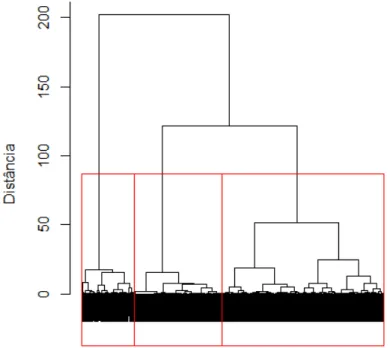 GRÁFICO 1 - Dendograma para análise de agrupamento pelo método Ward  Fonte: Elaborado pelo autor com base nos dados da pesquisa